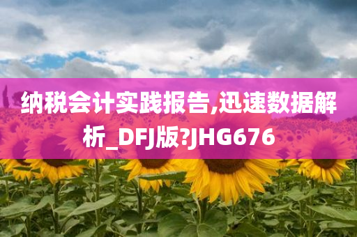 纳税会计实践报告,迅速数据解析_DFJ版?JHG676