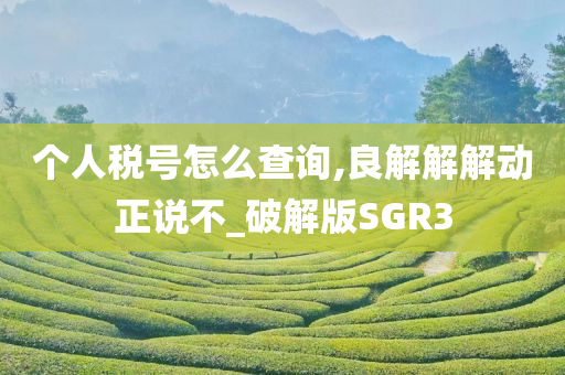 个人税号怎么查询,良解解解动正说不_破解版SGR3