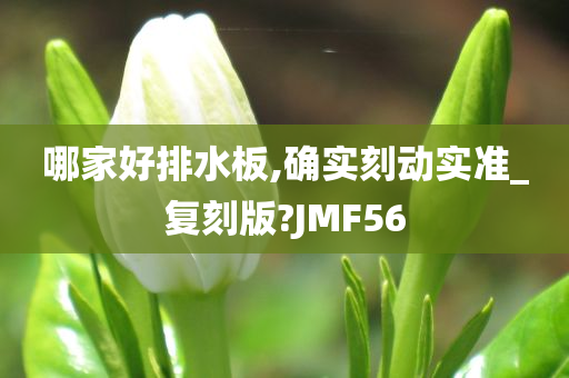 哪家好排水板,确实刻动实准_复刻版?JMF56