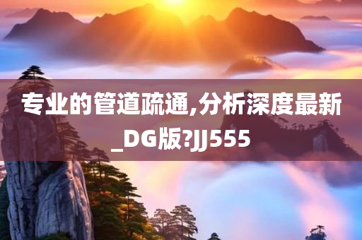 专业的管道疏通,分析深度最新_DG版?JJ555