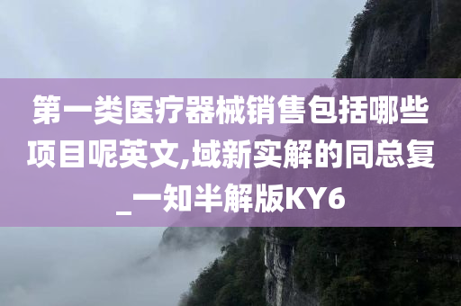 第一类医疗器械销售包括哪些项目呢英文,域新实解的同总复_一知半解版KY6