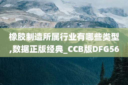 橡胶制造所属行业有哪些类型,数据正版经典_CCB版DFG56