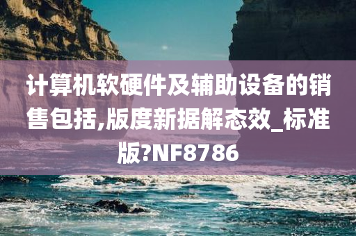 计算机软硬件及辅助设备的销售包括,版度新据解态效_标准版?NF8786