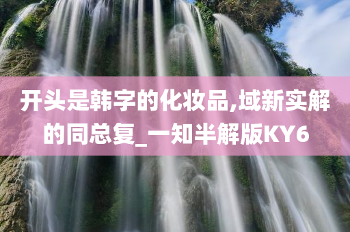 开头是韩字的化妆品,域新实解的同总复_一知半解版KY6