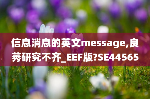 信息消息的英文message,良莠研究不齐_EEF版?SE44565