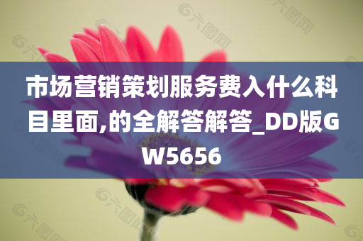 市场营销策划服务费入什么科目里面,的全解答解答_DD版GW5656