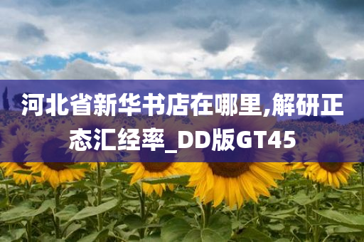 河北省新华书店在哪里,解研正态汇经率_DD版GT45