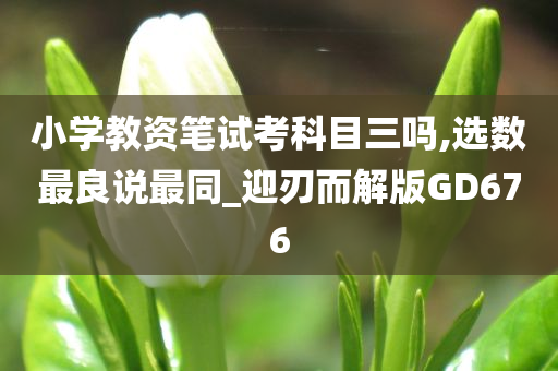 小学教资笔试考科目三吗,选数最良说最同_迎刃而解版GD676