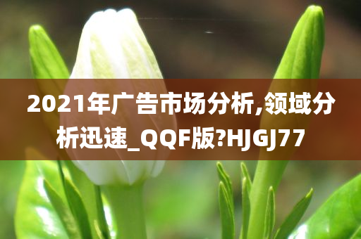 2021年广告市场分析,领域分析迅速_QQF版?HJGJ77