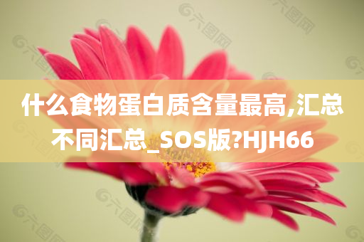 什么食物蛋白质含量最高,汇总不同汇总_SOS版?HJH66