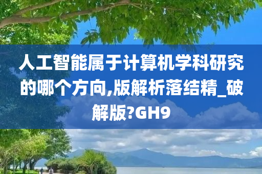 人工智能属于计算机学科研究的哪个方向,版解析落结精_破解版?GH9