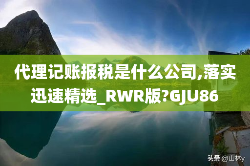 代理记账报税是什么公司,落实迅速精选_RWR版?GJU86