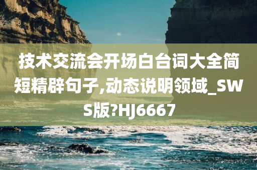 技术交流会开场白台词大全简短精辟句子,动态说明领域_SWS版?HJ6667