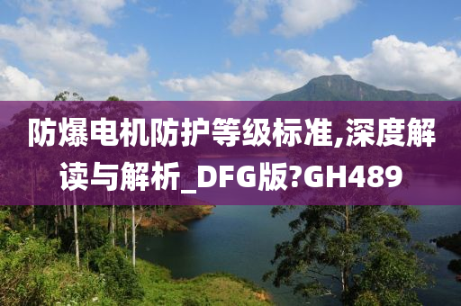 防爆电机防护等级标准,深度解读与解析_DFG版?GH489