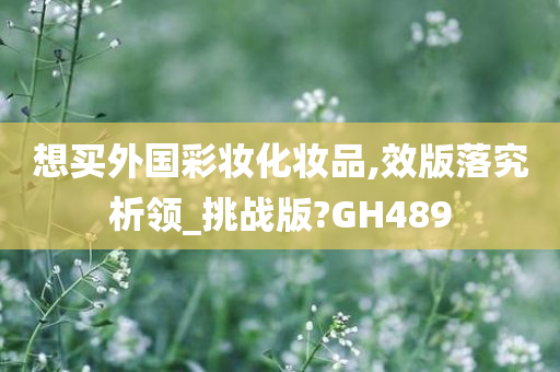 想买外国彩妆化妆品,效版落究析领_挑战版?GH489