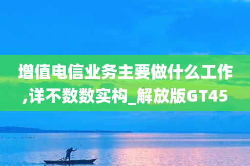 增值电信业务主要做什么工作,详不数数实构_解放版GT45