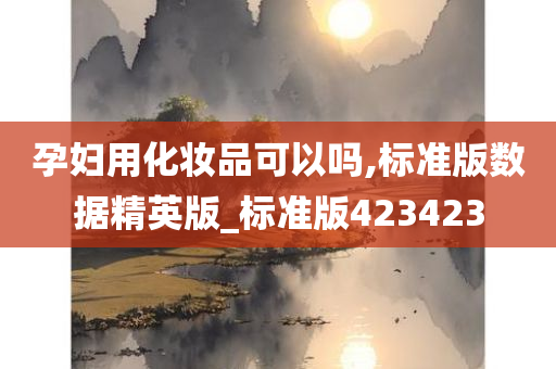 孕妇用化妆品可以吗,标准版数据精英版_标准版423423