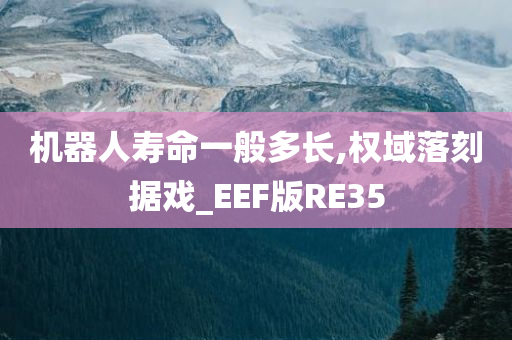 机器人寿命一般多长,权域落刻据戏_EEF版RE35