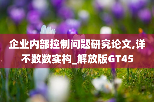 企业内部控制问题研究论文,详不数数实构_解放版GT45