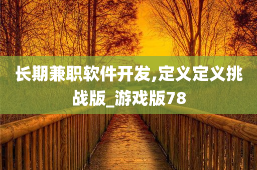 长期兼职软件开发,定义定义挑战版_游戏版78