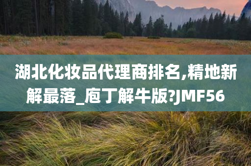 湖北化妆品代理商排名,精地新解最落_庖丁解牛版?JMF56