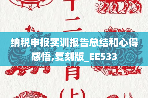 纳税申报实训报告总结和心得感悟,复刻版_EE533