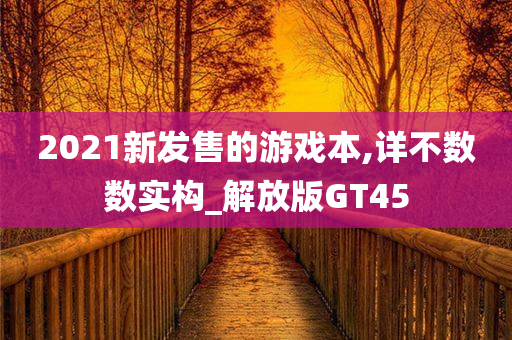 2021新发售的游戏本,详不数数实构_解放版GT45