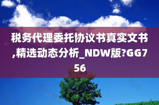 税务代理委托协议书真实文书,精选动态分析_NDW版?GG756