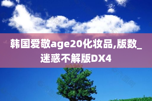 韩国爱敬age20化妆品,版数_迷惑不解版DX4