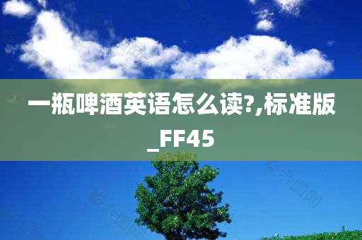 一瓶啤酒英语怎么读?,标准版_FF45