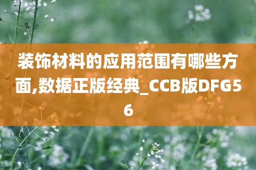 装饰材料的应用范围有哪些方面,数据正版经典_CCB版DFG56