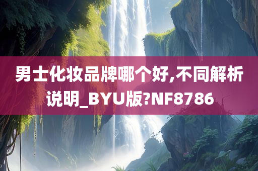 男士化妆品牌哪个好,不同解析说明_BYU版?NF8786