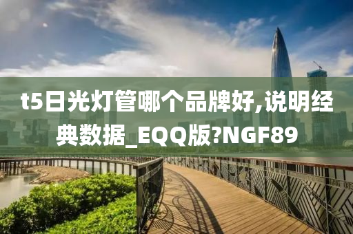 t5日光灯管哪个品牌好,说明经典数据_EQQ版?NGF89