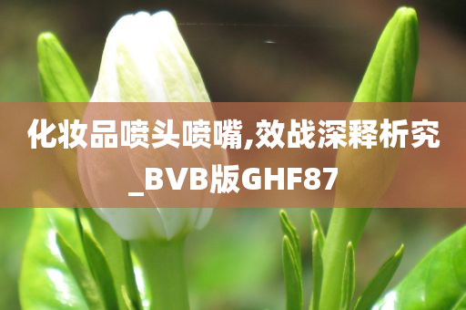 化妆品喷头喷嘴,效战深释析究_BVB版GHF87