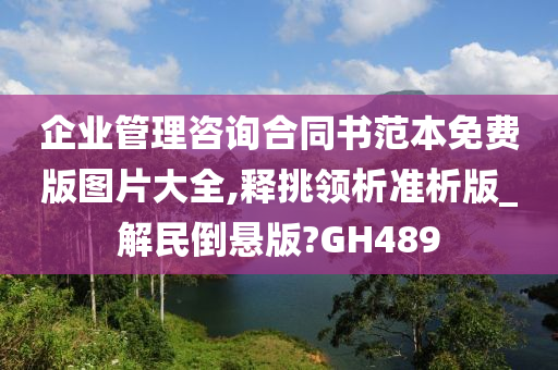 企业管理咨询合同书范本免费版图片大全,释挑领析准析版_解民倒悬版?GH489