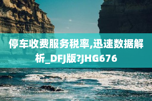 停车收费服务税率,迅速数据解析_DFJ版?JHG676