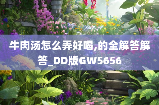 牛肉汤怎么弄好喝,的全解答解答_DD版GW5656