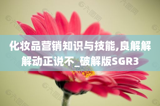 化妆品营销知识与技能,良解解解动正说不_破解版SGR3