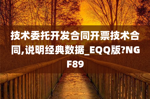 技术委托开发合同开票技术合同,说明经典数据_EQQ版?NGF89