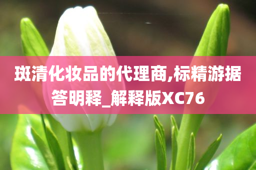 斑清化妆品的代理商,标精游据答明释_解释版XC76