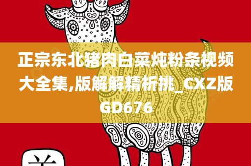 正宗东北猪肉白菜炖粉条视频大全集,版解解精析挑_CXZ版GD676