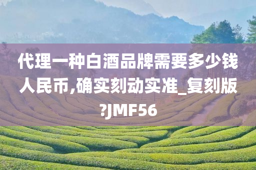 代理一种白酒品牌需要多少钱人民币,确实刻动实准_复刻版?JMF56