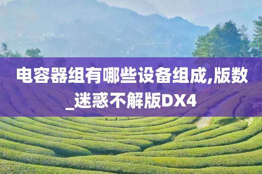 电容器组有哪些设备组成,版数_迷惑不解版DX4