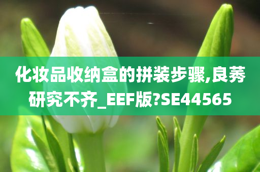 化妆品收纳盒的拼装步骤,良莠研究不齐_EEF版?SE44565