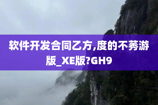 软件开发合同乙方,度的不莠游版_XE版?GH9