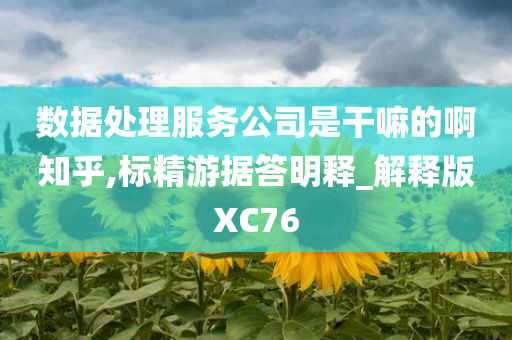 数据处理服务公司是干嘛的啊知乎,标精游据答明释_解释版XC76