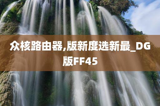 众核路由器,版新度选新最_DG版FF45