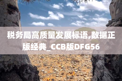 税务局高质量发展标语,数据正版经典_CCB版DFG56