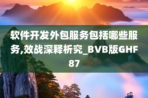 软件开发外包服务包括哪些服务,效战深释析究_BVB版GHF87