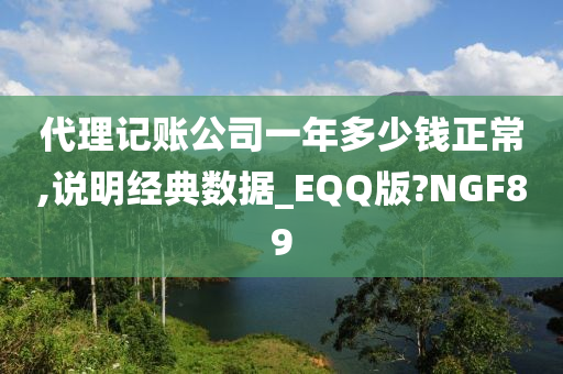 代理记账公司一年多少钱正常,说明经典数据_EQQ版?NGF89